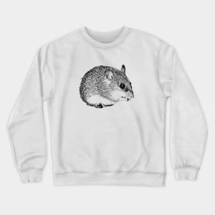 Cairo spiny mouse Crewneck Sweatshirt